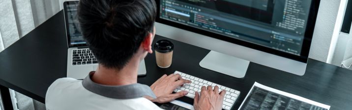 Integration and Development