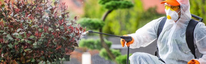 Web Design Initial Consultation